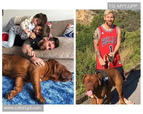 足球明星爱犬大揭秘 哪些狗狗成了球迷心中的宠儿